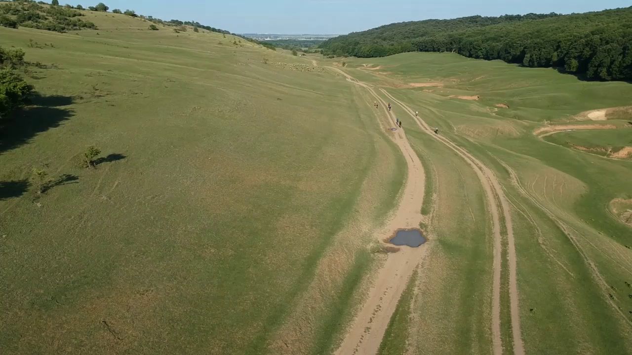 Pădurea Bucovăț - Pădurea Măturici - Palilula - Valea Ulmului