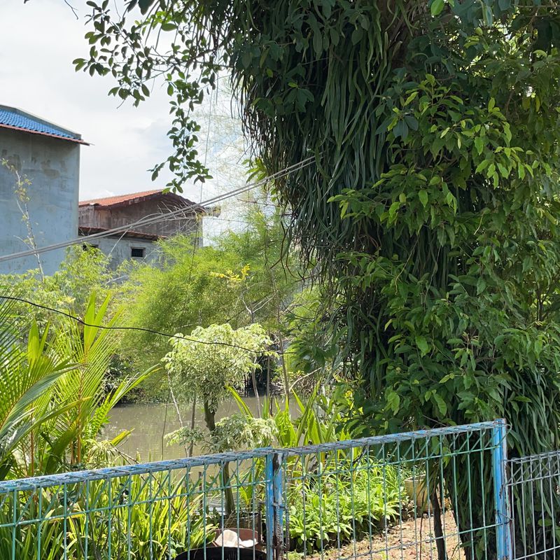 Jalan Cempaka, Pekalongan Timur to Jalan Dokter Cipto, Pekalongan Timur