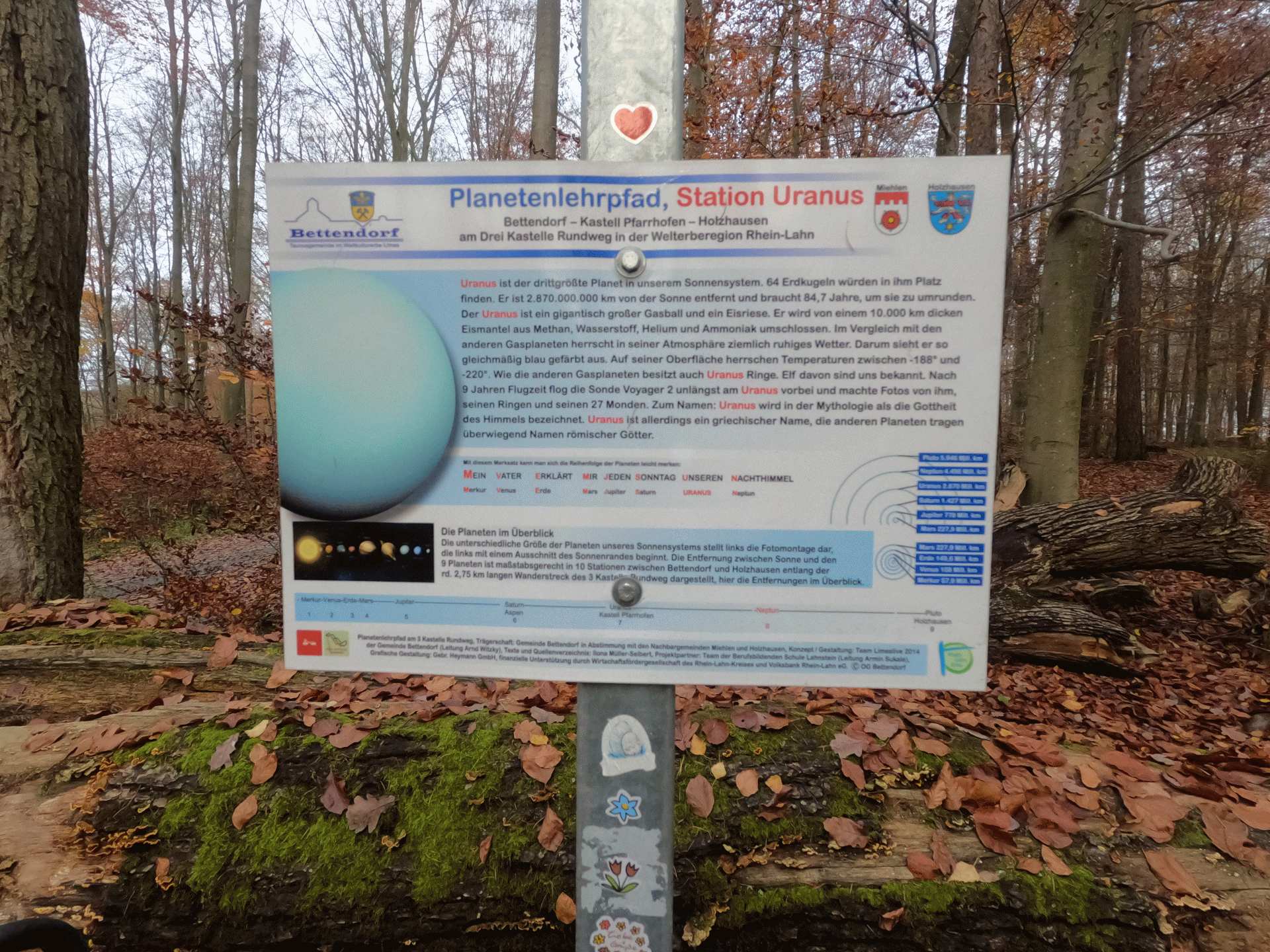 2021-11-21  MTB-Tour Segelflugplatz NASTÄTTEN