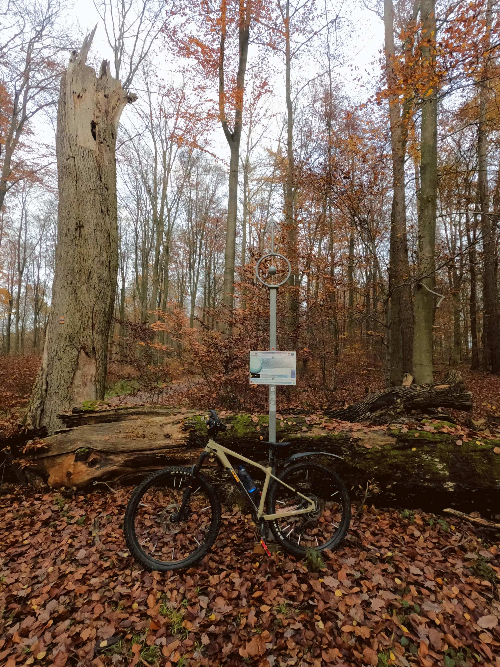 2021-11-21  MTB-Tour Segelflugplatz NASTÄTTEN