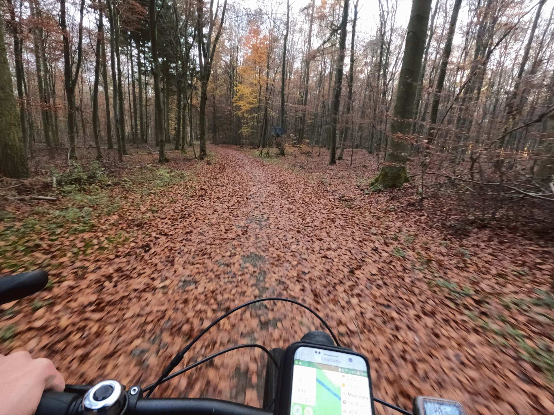 2021-11-21  MTB-Tour Segelflugplatz NASTÄTTEN