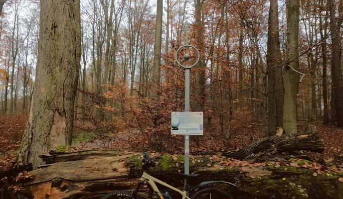 Foto 1 der Bikemap-Route "2021-11-21  MTB-Tour Segelflugplatz NASTÄTTEN"