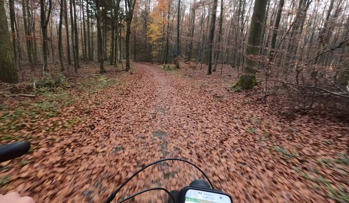 Foto 2 der Bikemap-Route "2021-11-21  MTB-Tour Segelflugplatz NASTÄTTEN"