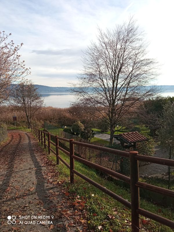 Da Via della Novaglia 60, Galliate lombardo a Via della Novaglia 61, Galliate lombardo