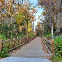Woodland Drive 5401, Savannah to Sallie Mood Drive, Savannah