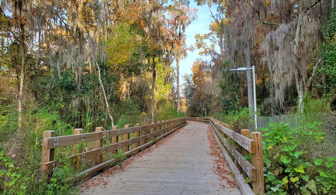Foto 1 del percorso Bikemap "Woodland Drive 5401, Savannah to Sallie Mood Drive, Savannah"