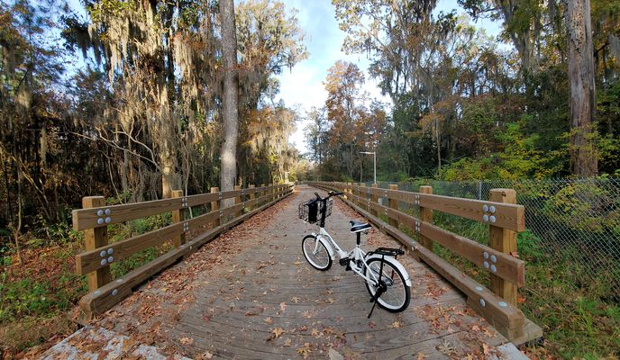 Foto 2 del percorso Bikemap "Woodland Drive 5401, Savannah to Sallie Mood Drive, Savannah"