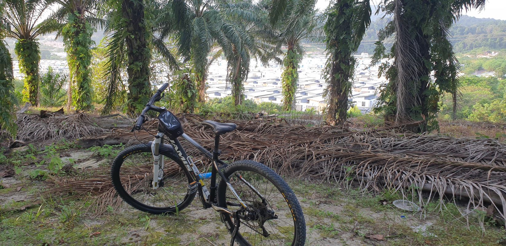 Persiaran Pulai Hijauan, Pekan Nanas to Jalan Palma 5 40, Johor Bahru