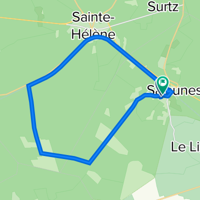 salaunes passe