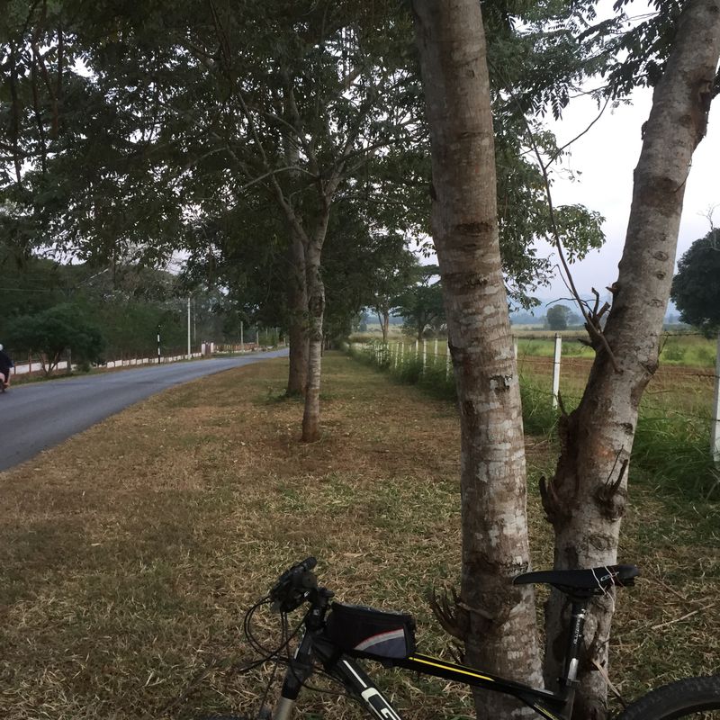 99 Thanon Tesabarn 31, Pak Chong to Thanon Tesabarn 31, Pak Chong