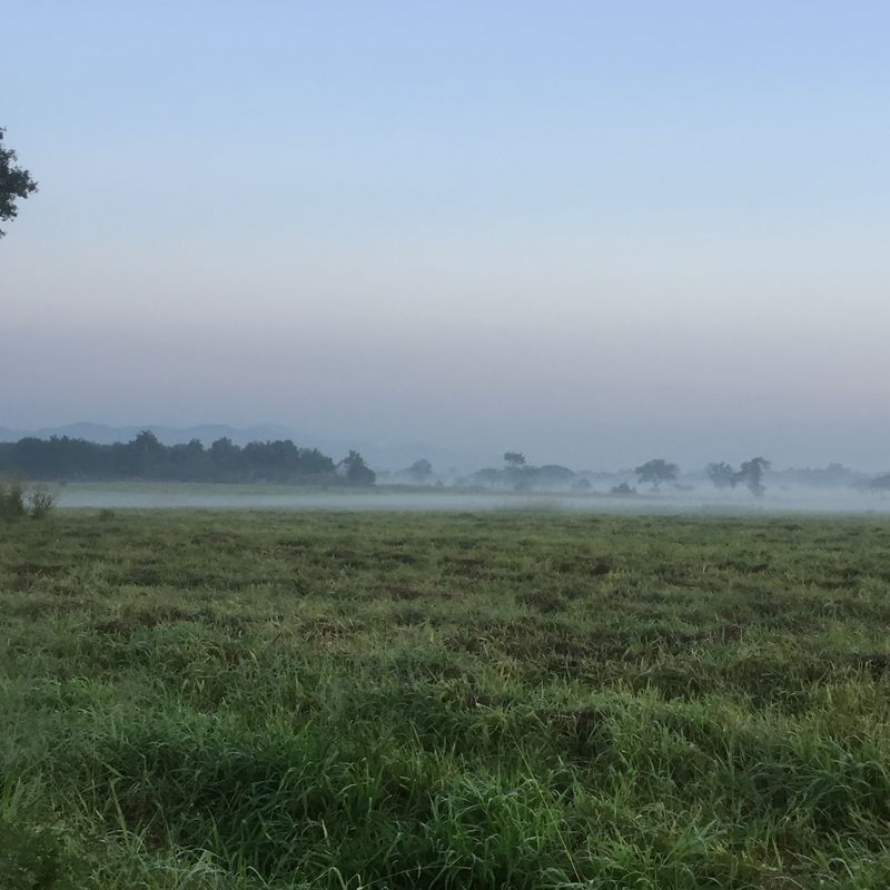 Thanon Tesabarn 20, Pak Chong to Thanon Tesabarn 31, Pak Chong