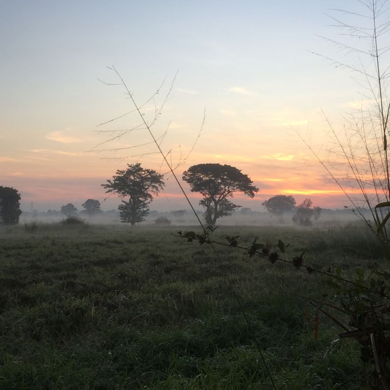 Thanon Tesabarn 20, Pak Chong to Thanon Tesabarn 31, Pak Chong