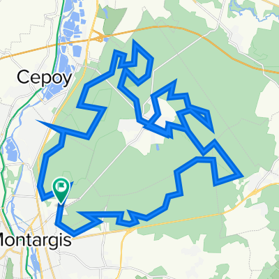 Randonnée des dindes à Montargis