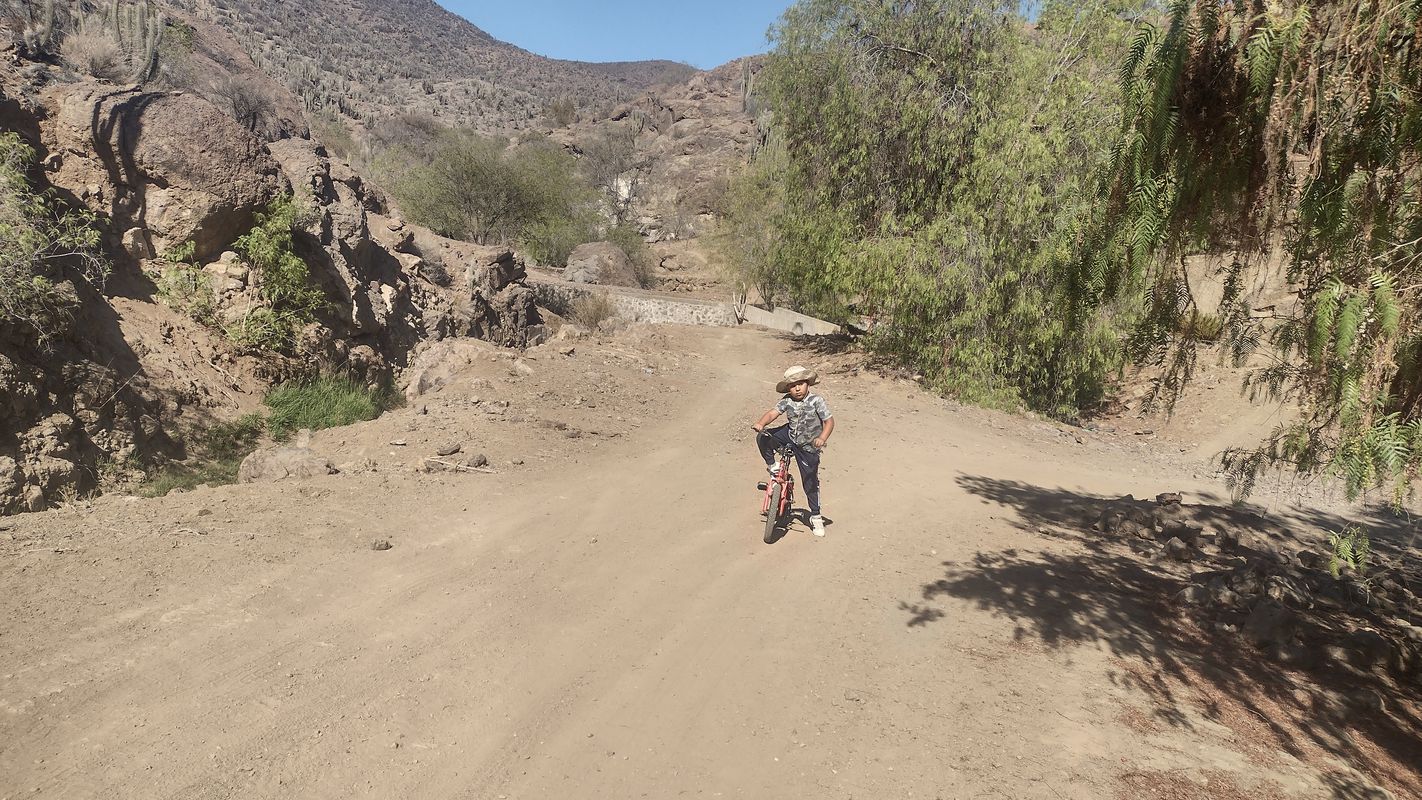 De D-591, El Palqui a D-591, El Palqui