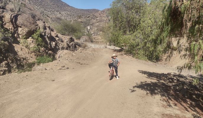 Zdjęcie 1 trasy Bikemap „De D-591, El Palqui a D-591, El Palqui”