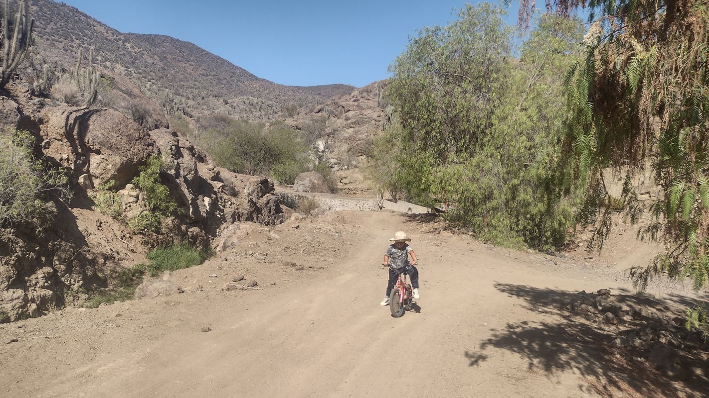 De D-591, El Palqui a D-591, El Palqui