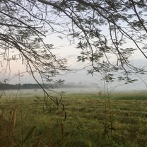 99 Thanon Tesabarn 31, Pak Chong to 99 Thanon Tesabarn 31, Pak Chong