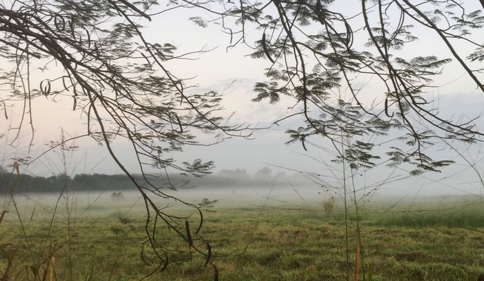 Foto 1 der Bikemap-Route "99 Thanon Tesabarn 31, Pak Chong to 99 Thanon Tesabarn 31, Pak Chong"