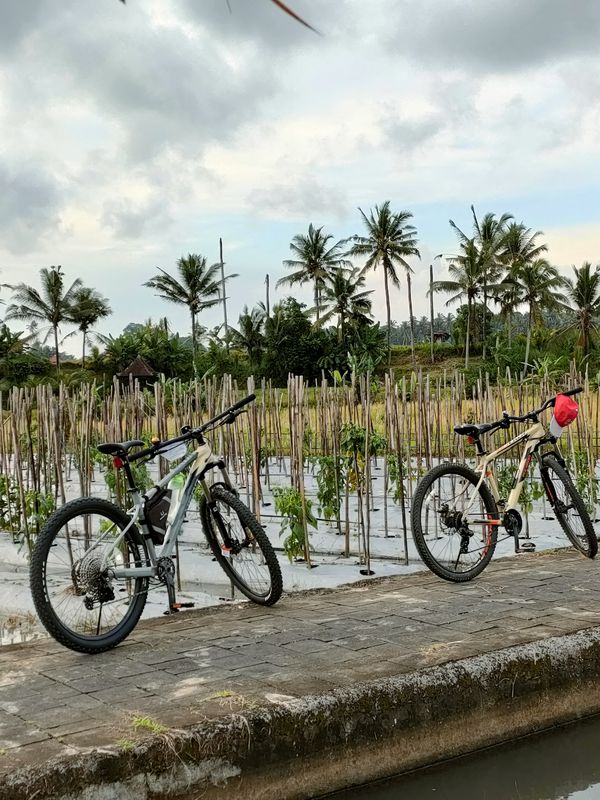F58H+87C, Kecamatan Mengwi to Baha, Kecamatan Mengwi