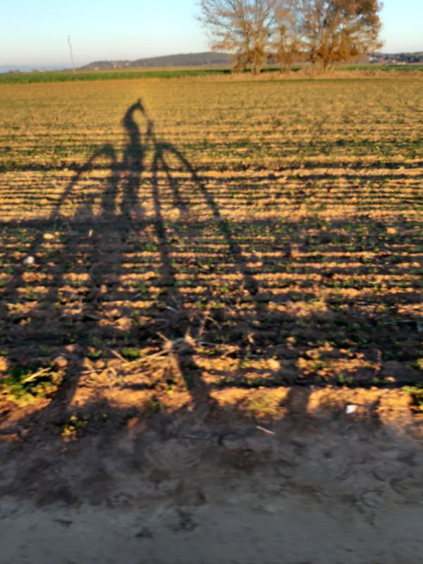 Carrer de la Mercè 5, Banyoles to Carrer Santiago Rusiñol 28, Banyoles