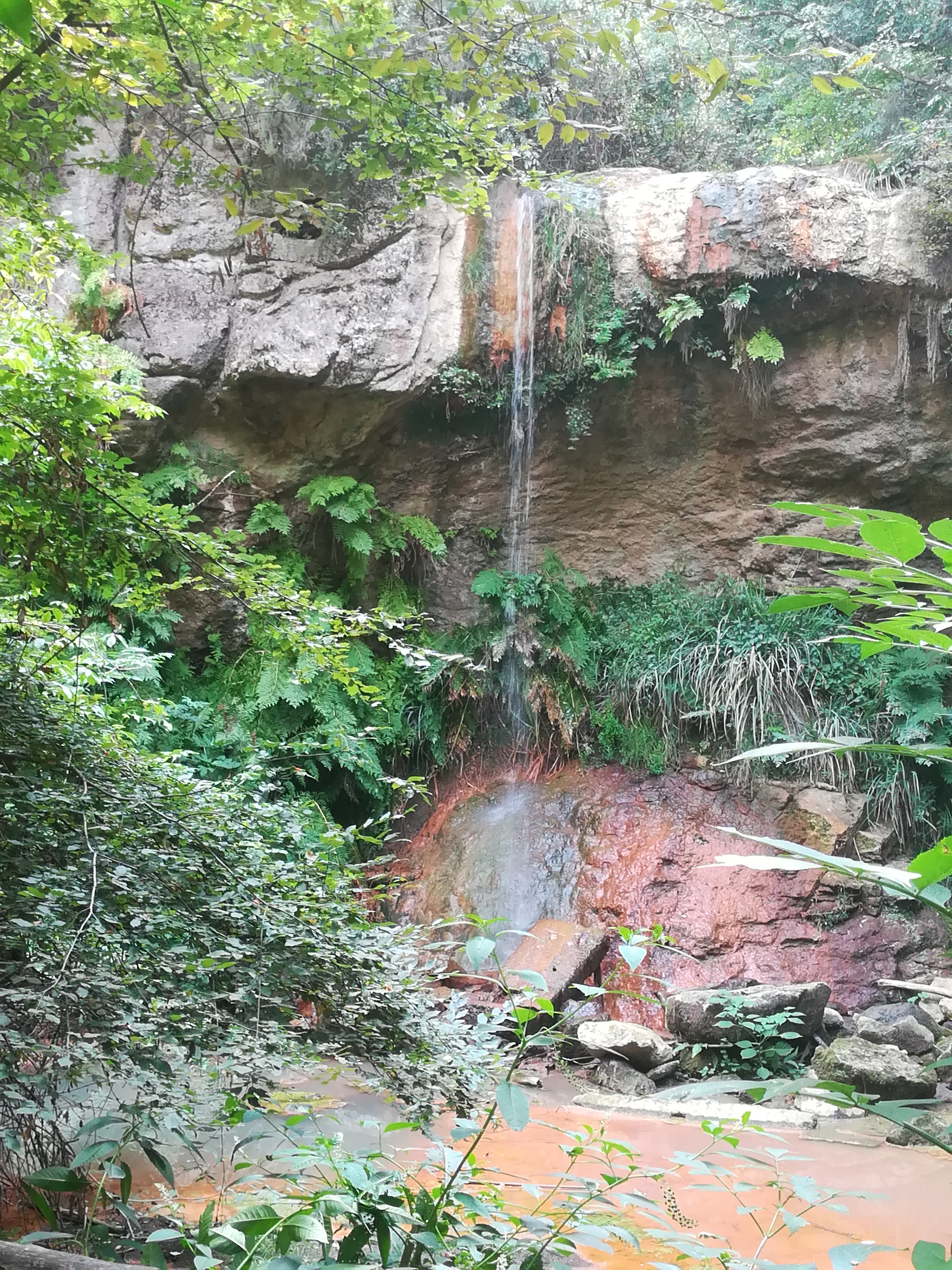 Highlight 1 along the Bikemap route "Camminata Cascate Diosilla - Monterano antica"