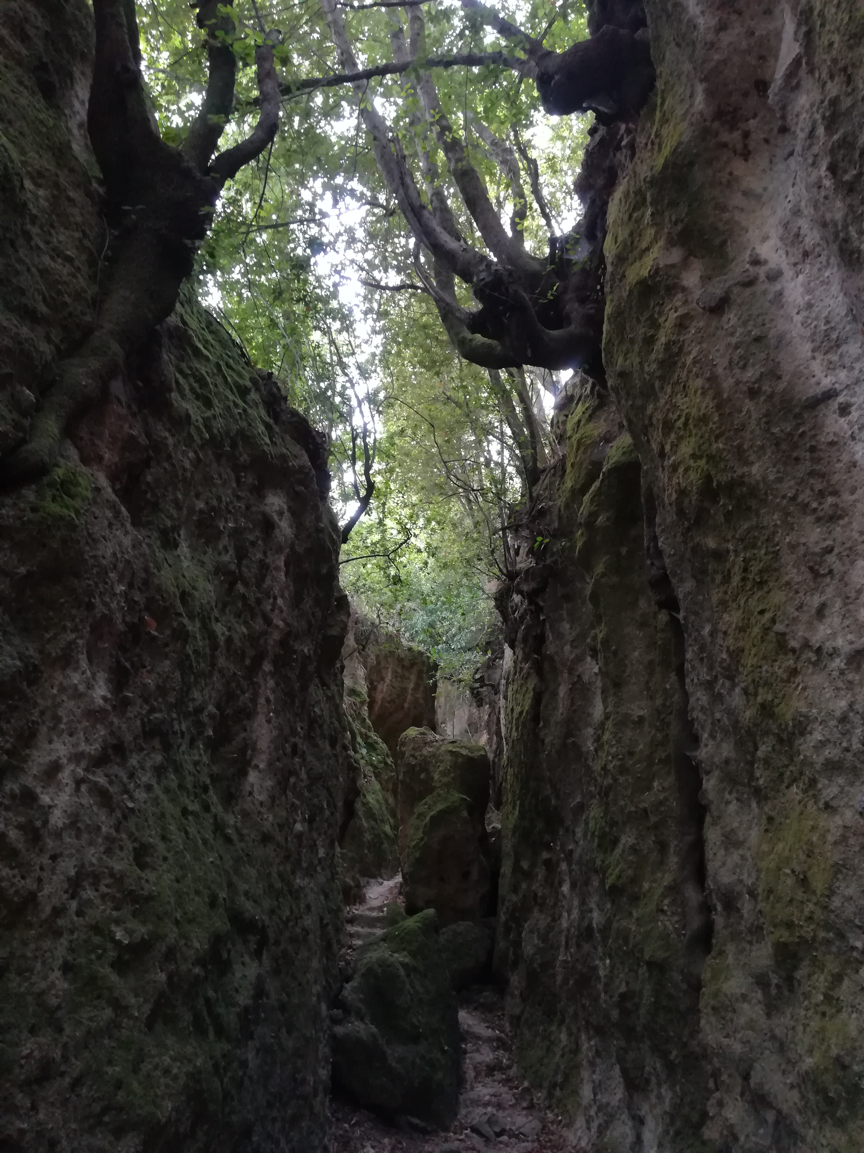 Hebe Bild 9 entlang der Bikemap-Route "Camminata Cascate Diosilla - Monterano antica" hervor