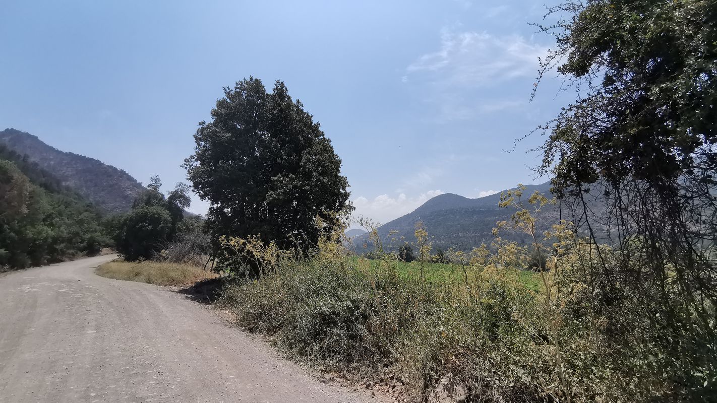 De Calle Valle de Elicura 083, Rancagua a Calle Valle de Elicura 083, Rancagua