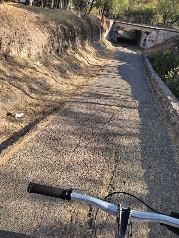 Paseo rápido en