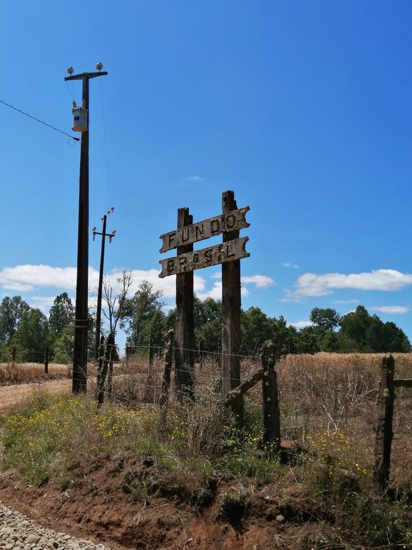 De Terminal L20P, Valdivia a T-301, Valdivia