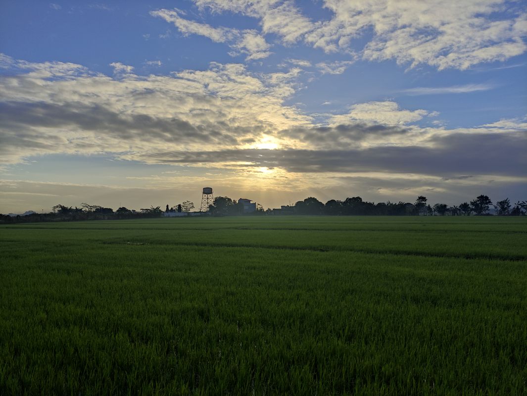 Reverse Naic - Jan 16, 2022