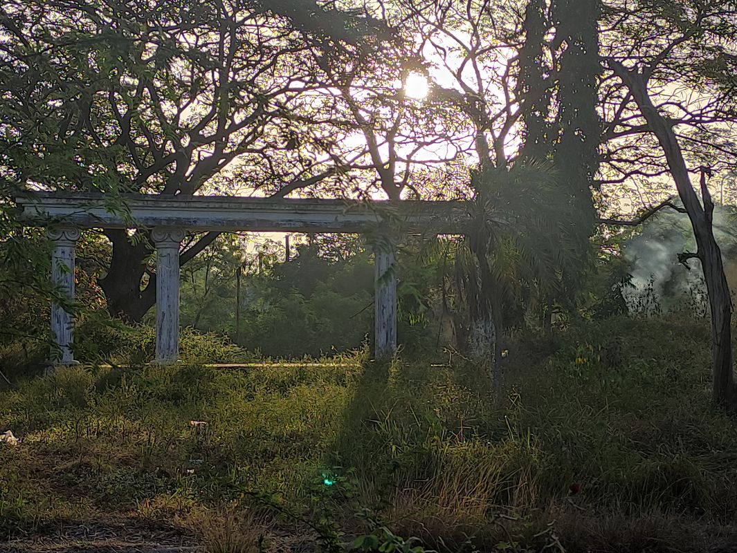 Reverse Naic - Jan 16, 2022