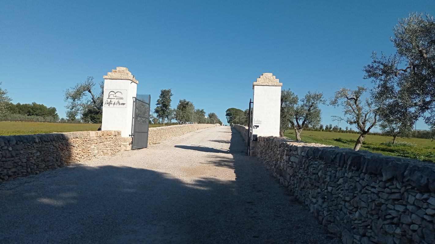 Furto di cavolo nero