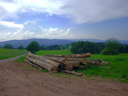 Hebe Bild 21 entlang der Bikemap-Route "Okruh přes Petříkovice,Polsko a úbočí Špičáku" hervor Hebe Bild 21 entlang der Bikemap-Route "Okruh přes Petříkovice,Polsko a úbočí Špičáku" hervor