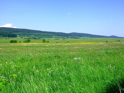 Hebe Bild 3 entlang der Bikemap-Route "Okruh přes Petříkovice,Polsko a úbočí Špičáku" hervor Hebe Bild 3 entlang der Bikemap-Route "Okruh přes Petříkovice,Polsko a úbočí Špičáku" hervor