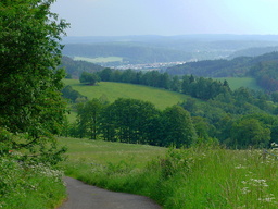Hebe Bild 24 entlang der Bikemap-Route "Okruh přes Petříkovice,Polsko a úbočí Špičáku" hervor Hebe Bild 24 entlang der Bikemap-Route "Okruh přes Petříkovice,Polsko a úbočí Špičáku" hervor