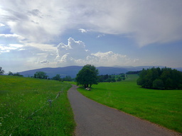 Hebe Bild 20 entlang der Bikemap-Route "Okruh přes Petříkovice,Polsko a úbočí Špičáku" hervor Hebe Bild 20 entlang der Bikemap-Route "Okruh přes Petříkovice,Polsko a úbočí Špičáku" hervor