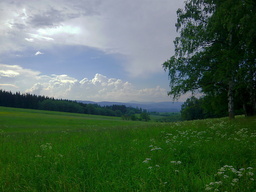 Hebe Bild 18 entlang der Bikemap-Route "Okruh přes Petříkovice,Polsko a úbočí Špičáku" hervor Hebe Bild 18 entlang der Bikemap-Route "Okruh přes Petříkovice,Polsko a úbočí Špičáku" hervor