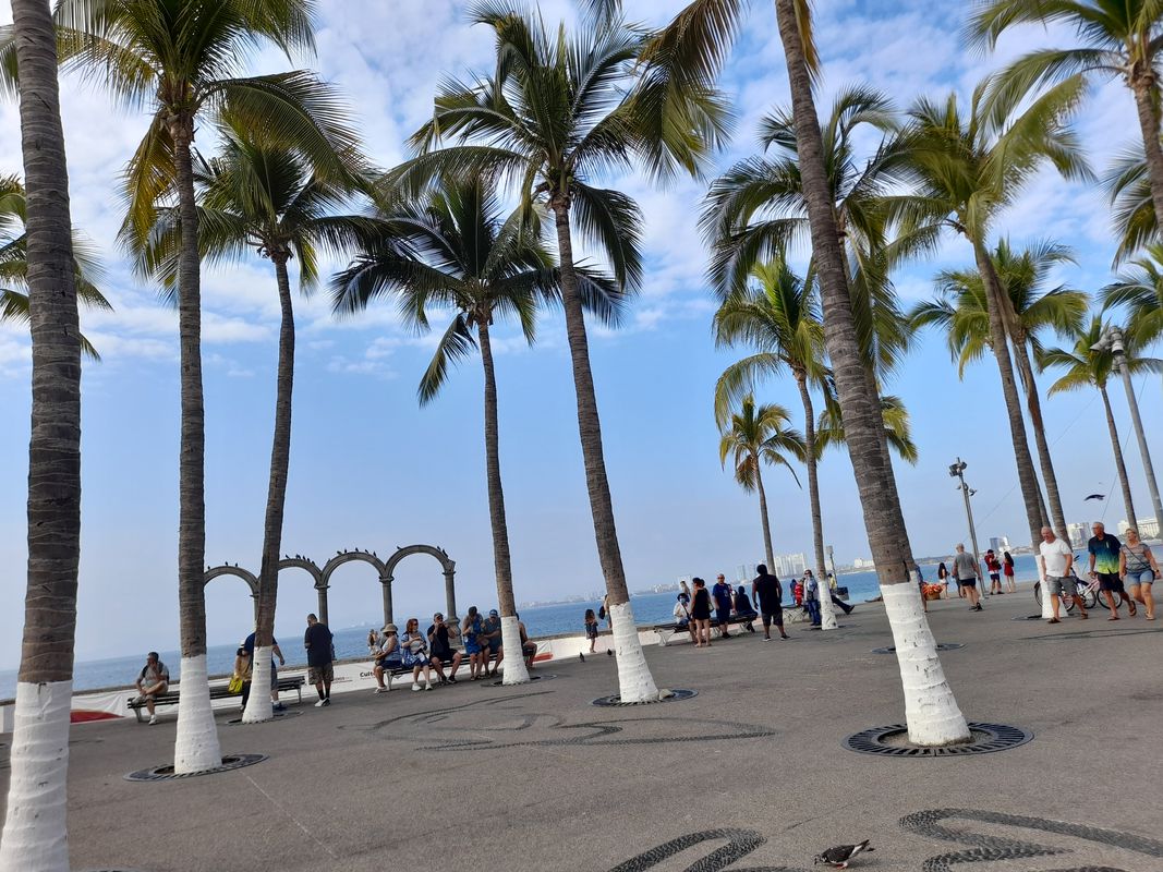De Avenida México 1571, Puerto Vallarta a Morelos 322, Puerto Vallarta