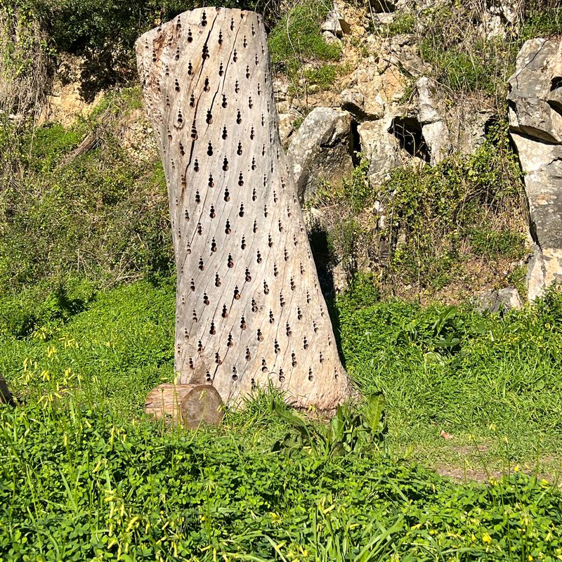 Villas da Fonte 42D, Alcabideche a Villas da Fonte 42A, Alcabideche