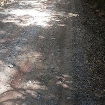 Itapecerica Lagoa Mombaça Kunkakuji