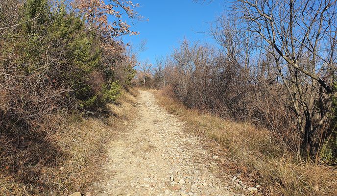 Photo 1 of the Bikemap route "Coastal ride MTB"