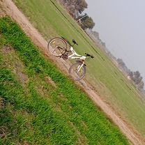 Jhajjar-Badli Road, Bazidpur Tappa Haveli to HPM5+P37, Kot(Ukhalchana)
