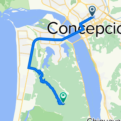 De Paicaví 1267, Concepción a Vía sin nombre, San Pedro de la Paz