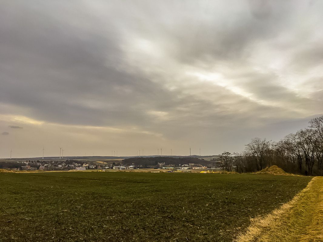Gehen_Mistelbach