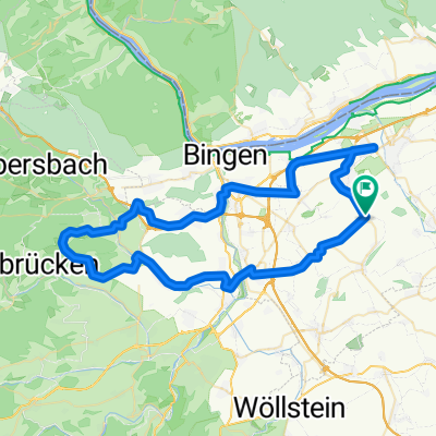 048d: Ingelheim - Gensingen - Hergenfeld - Schöneberg - Trollbachtal - Ingelheim