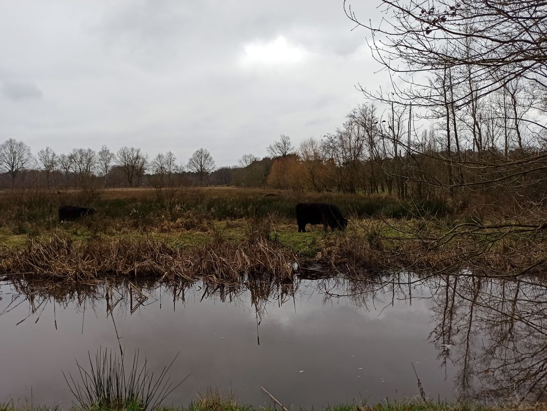Prinses Marijke, Stramproy naar Prinses Marijkestraat 28, Stramproy