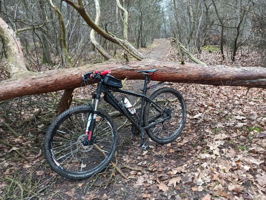 Prinses Marijke, Stramproy naar Prinses Marijkestraat 28, Stramproy