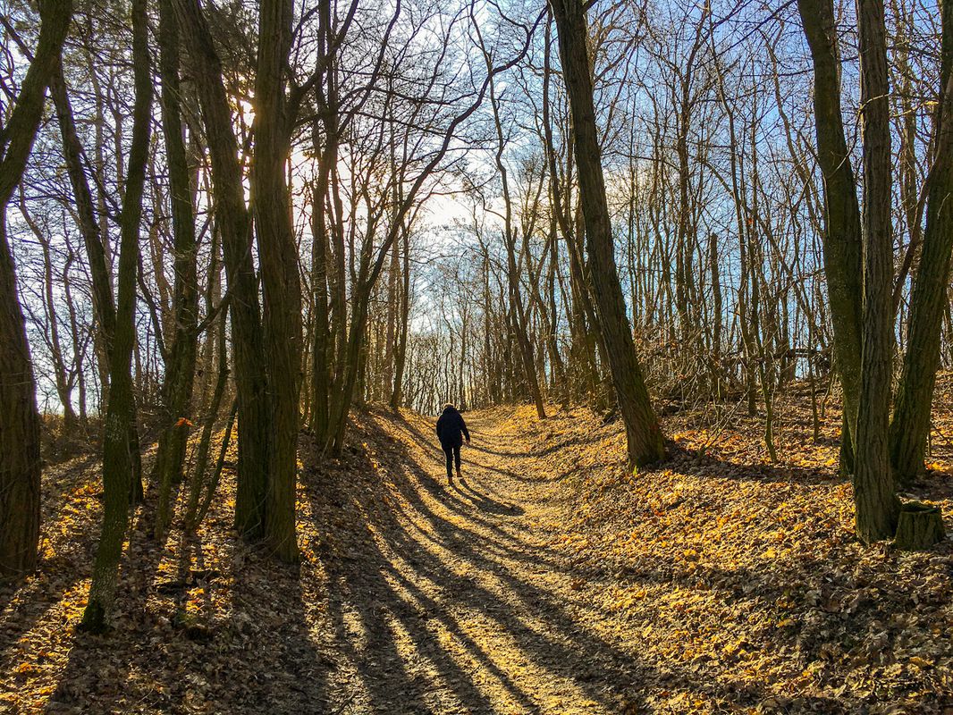 Gehen_Mistelbach