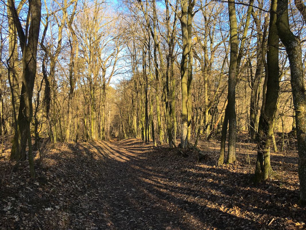 Gehen_Mistelbach