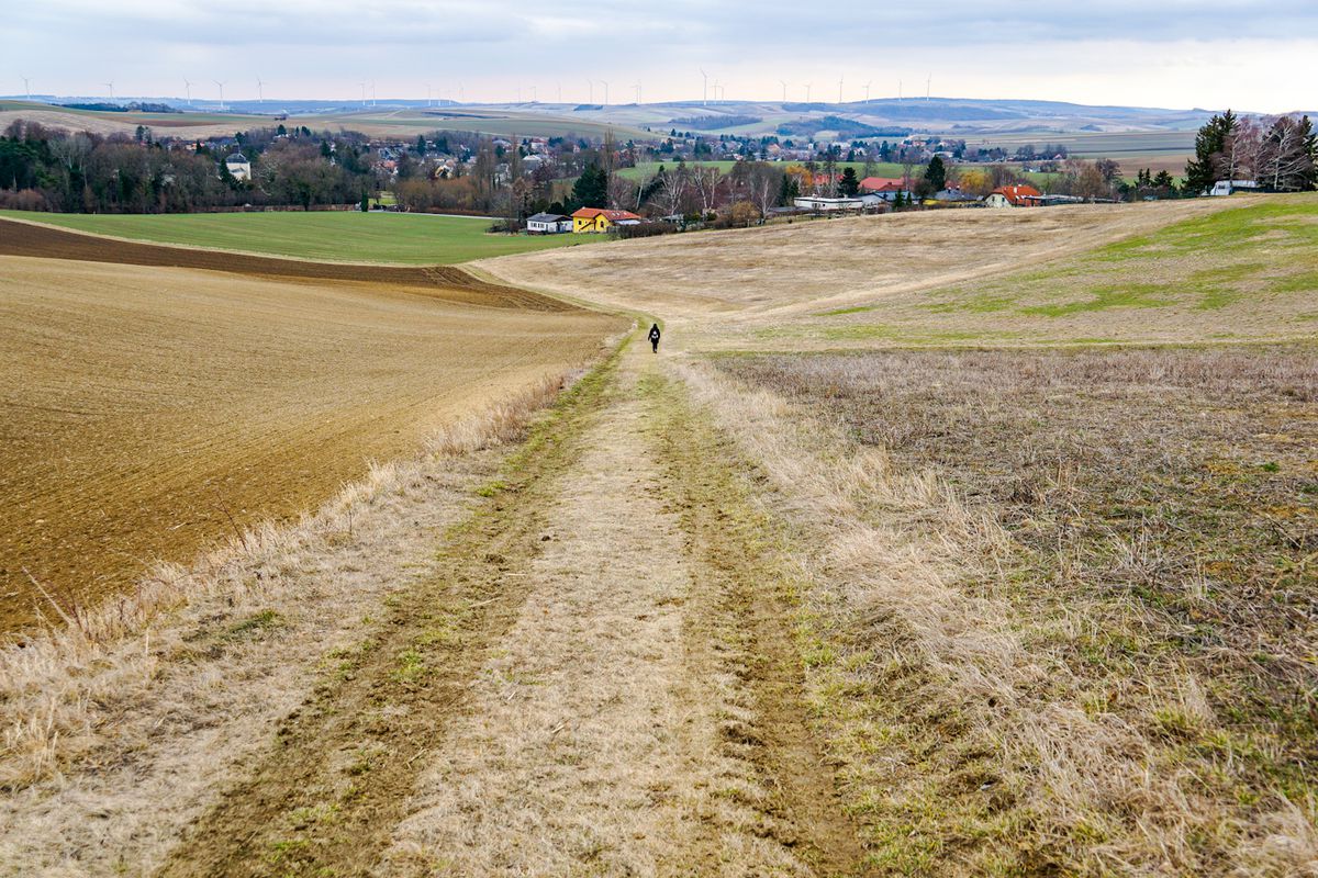 Gehen_Niederleis/Buschberg